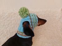 Pet clothes hat with open ears,gift for dog