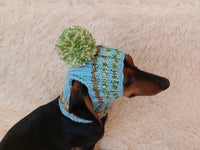 Pet clothes hat with open ears,gift for dog