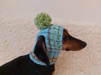 Pet clothes hat with open ears,gift for dog