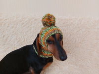 Pet clothes hat with open ears,gift for dog