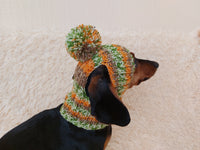 Pet clothes hat with open ears,gift for dog