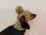 Pet clothes hat with open ears,gift for dog