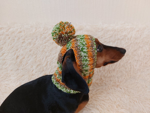 Pet clothes hat with open ears,gift for dog