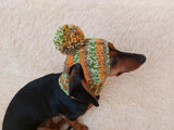 Pet clothes hat with open ears,gift for dog