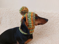 Pet clothes hat with open ears,gift for dog