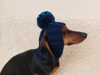 Hat for dog with pompom and holes for the ears