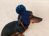 Hat for dog with pompom and holes for the ears