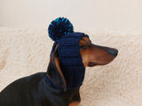 Hat for dog with pompom and holes for the ears