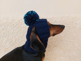 Hat for dog with pompom and holes for the ears