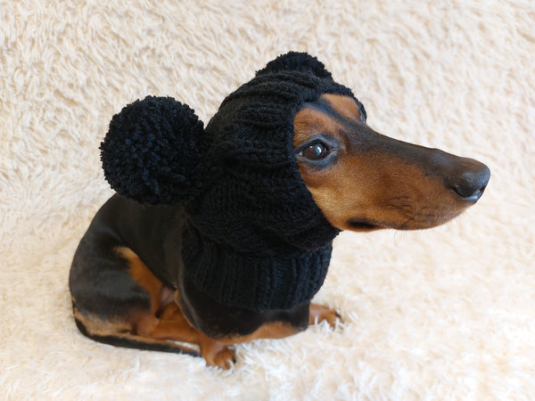 Hat for dog with two pompons, hat for dachshund with two pompons