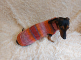 Knitted Melange Wool Pet Jumper Dog Clothes Sweater With Braid, jumper for small dogs, clothes sweater for dogs