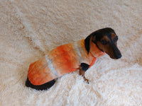 Knitted Melange Wool Pet Jumper Dog Clothes Sweater With Braid, jumper for small dogs, clothes sweater for dogs