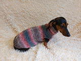 Knitted Melange Wool Pet Jumper Dog Clothes Sweater With Braid, jumper for small dogs, clothes sweater for dogs