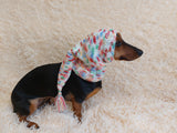 Winter Christmas clothes for dogs knitted hat with pompon, doxie clothes, doxie hat