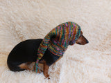 Winter Christmas clothes for dogs knitted hat with pompon, doxie clothes, doxie hat