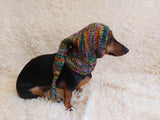 Winter Christmas clothes for dogs knitted hat with pompon, doxie clothes, doxie hat