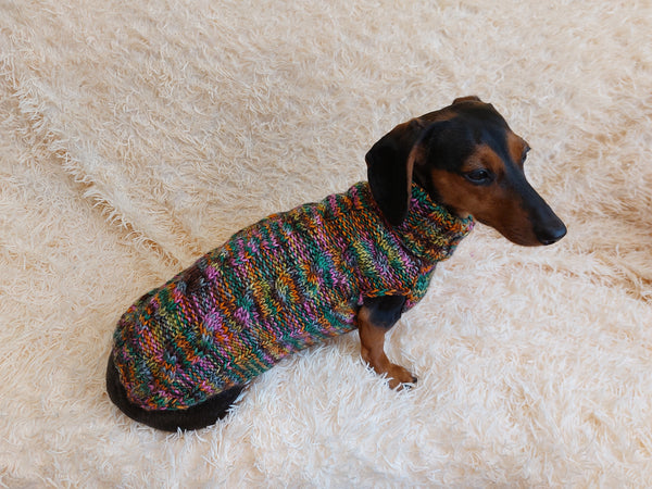 Knitted jumper for small dogs, sweater for small dachshund, sweater for chihuahua, sweater for yorkshire terrier, sweater for toy terrier