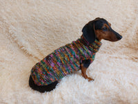 Knitted jumper for small dogs, sweater for small dachshund, sweater for chihuahua, sweater for yorkshire terrier, sweater for toy terrier