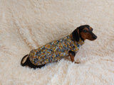 Knitted jumper for small dogs, sweater for small dachshund, sweater for chihuahua, sweater for yorkshire terrier, sweater for toy terrier