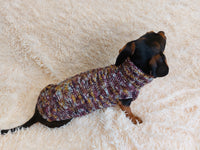 Knitted jumper for small dogs, sweater for small dachshund, sweater for chihuahua, sweater for yorkshire terrier, sweater for toy terrier