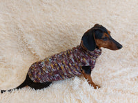 Knitted jumper for small dogs, sweater for small dachshund, sweater for chihuahua, sweater for yorkshire terrier, sweater for toy terrier