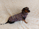 Knitted jumper for small dogs, sweater for small dachshund, sweater for chihuahua, sweater for yorkshire terrier, sweater for toy terrier