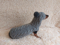 Alpaca coat and hat for dogs, knitted dachshund clothes sweater and hat, winter dachshund suit sweater and hat