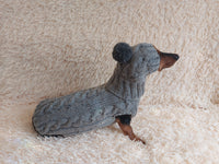 Alpaca coat and hat for dogs, knitted dachshund clothes sweater and hat, winter dachshund suit sweater and hat