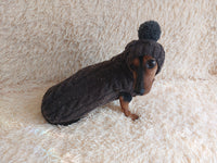 Alpaca coat and hat for dogs, knitted dachshund clothes sweater and hat, winter dachshund suit sweater and hat