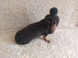 Alpaca coat and hat for dogs, knitted dachshund clothes sweater and hat, winter dachshund suit sweater and hat