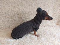 Alpaca coat and hat for dogs, knitted dachshund clothes sweater and hat, winter dachshund suit sweater and hat