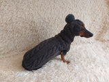 Alpaca coat and hat for dogs, knitted dachshund clothes sweater and hat, winter dachshund suit sweater and hat