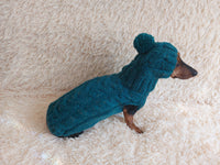 Alpaca wool costume with classic arana sweater and hat for dachshund or small dog, winter set sweater and hat for dogs