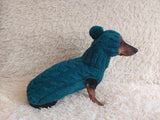 Alpaca wool costume with classic arana sweater and hat for dachshund or small dog, winter set sweater and hat for dogs