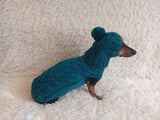 Alpaca wool costume with classic arana sweater and hat for dachshund or small dog, winter set sweater and hat for dogs