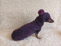 Alpaca wool costume with classic arana sweater and hat for dachshund or small dog, winter set sweater and hat for dogs