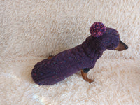 Alpaca wool costume with classic arana sweater and hat for dachshund or small dog, winter set sweater and hat for dogs