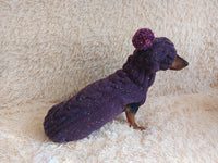 Alpaca wool costume with classic arana sweater and hat for dachshund or small dog, winter set sweater and hat for dogs