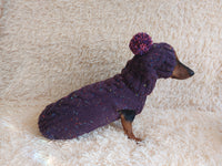 Alpaca wool costume with classic arana sweater and hat for dachshund or small dog, winter set sweater and hat for dogs