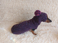 Alpaca wool costume with classic arana sweater and hat for dachshund or small dog, winter set sweater and hat for dogs