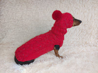 Alpaca wool costume with classic arana sweater and hat for dachshund or small dog, winter set sweater and hat for dogs