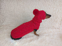 Alpaca wool costume with classic arana sweater and hat for dachshund or small dog, winter set sweater and hat for dogs