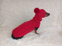 Alpaca wool costume with classic arana sweater and hat for dachshund or small dog, winter set sweater and hat for dogs