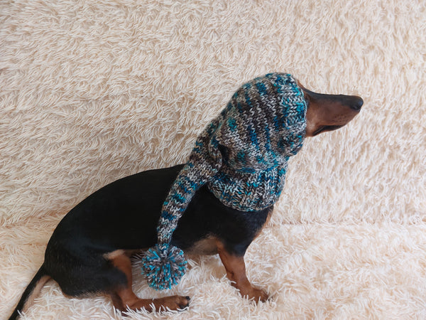 Christmas bright outfit dog hat with pompom,dachshund hat,Christmas clothes for dog photo shoot