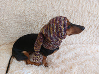 Christmas bright outfit dog hat with pompom,dachshund hat,Christmas clothes for dog photo shoot