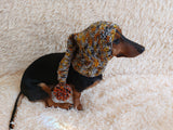 Christmas bright outfit dog hat with pompom,dachshund hat,Christmas clothes for dog photo shoot