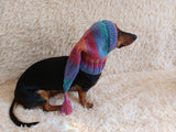 Winter hat for a dog with a pompom, christmas hat for a dachshund or small dog