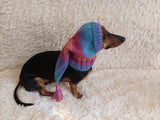 Winter hat for a dog with a pompom, christmas hat for a dachshund or small dog