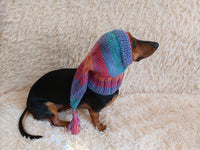 Winter hat for a dog with a pompom, christmas hat for a dachshund or small dog