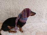 Winter hat for a dog with a pompom, christmas hat for a dachshund or small dog